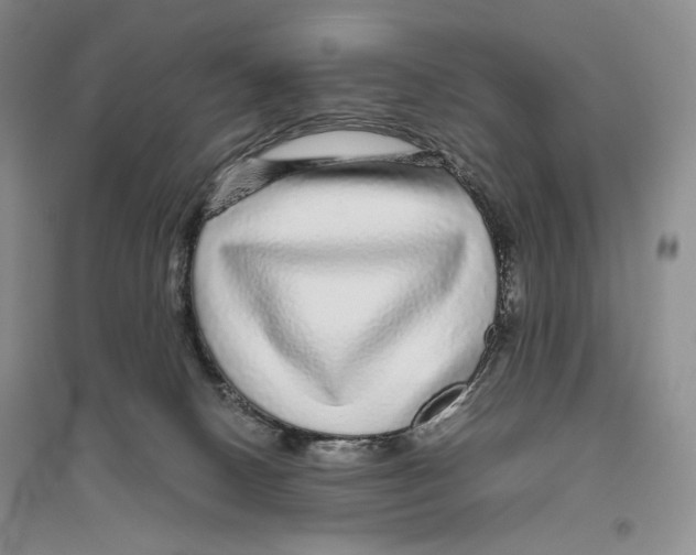 X0000096420082200802211133