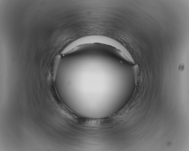 X0000096420084200802211133