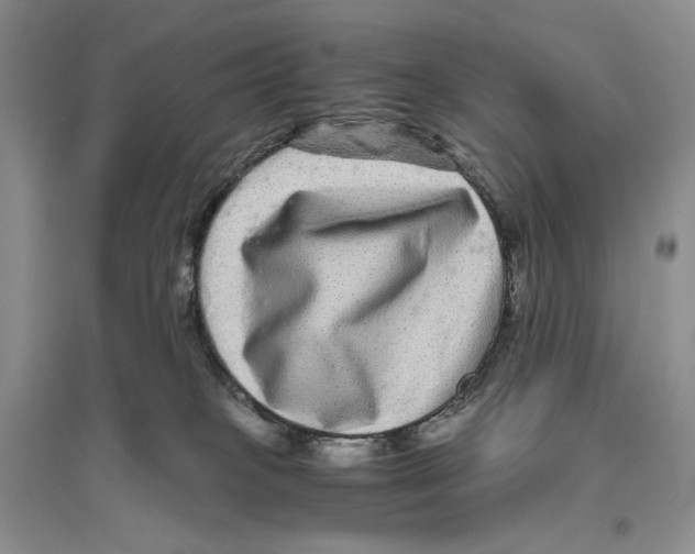 X0000096420085200802211133