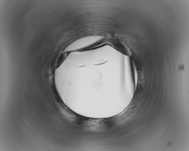 X0000096420086200802211133