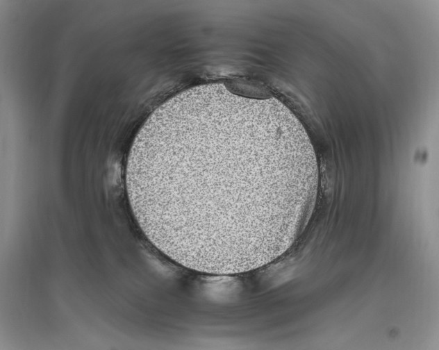 X0000096420087200802211133