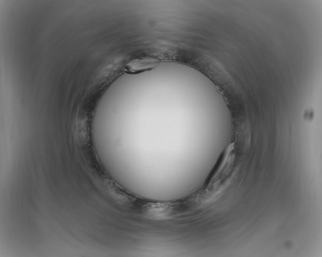 X0000096420088200802211133