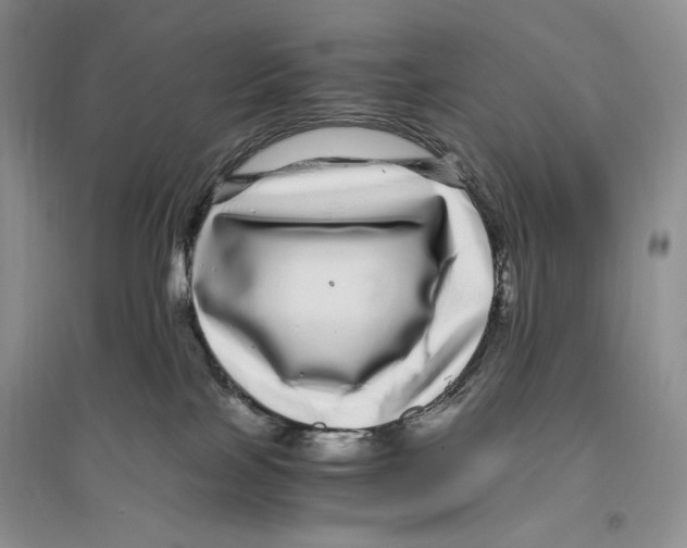 X0000096420089200802211133