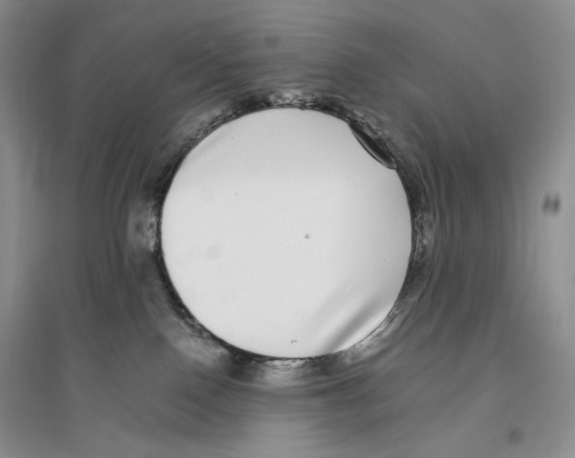 X0000096420090200802211133