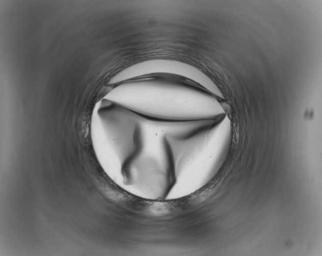 X0000096420091200802211133