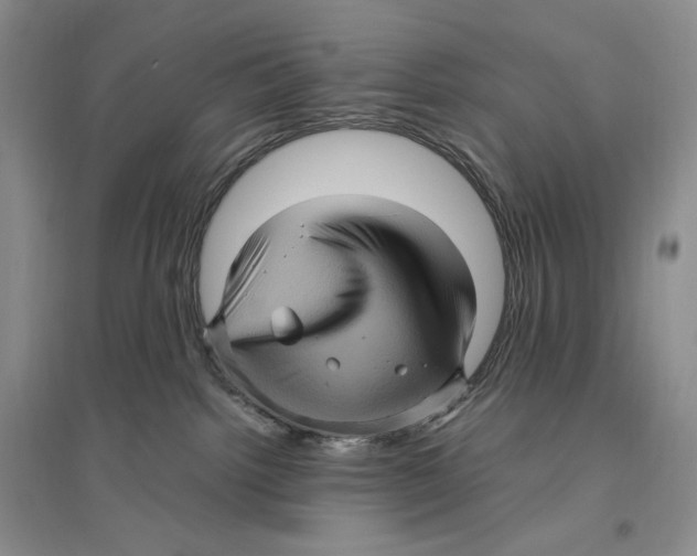 X0000096420092200802211133