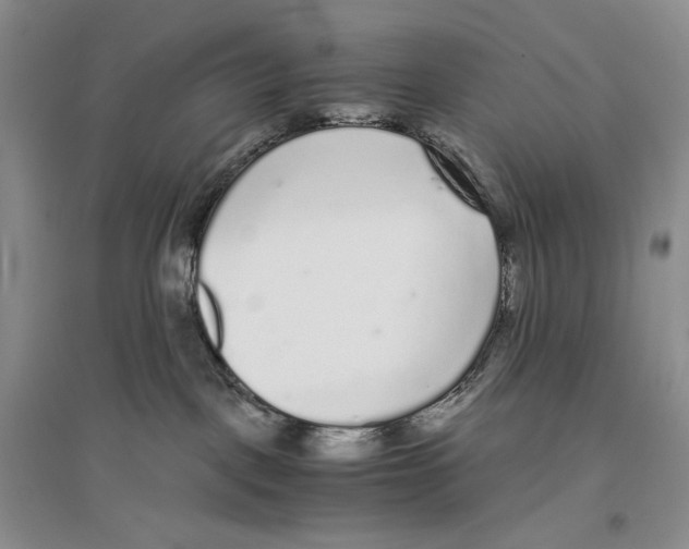 X0000096420093200802211133