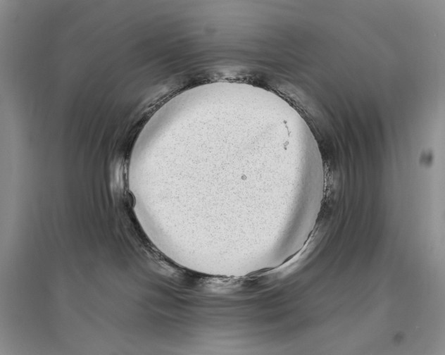 X0000096420094200802211133
