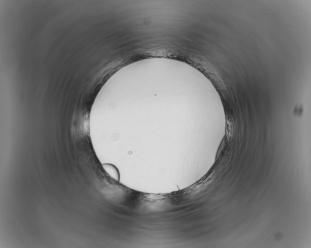 X0000096420095200802211133