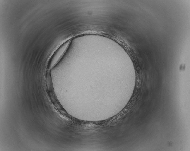 X0000096420098200802211133