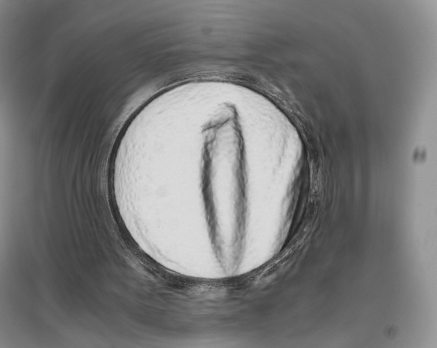 X0000096420099200802211133