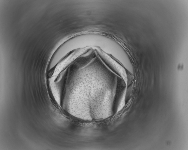 X0000096420100200802211133