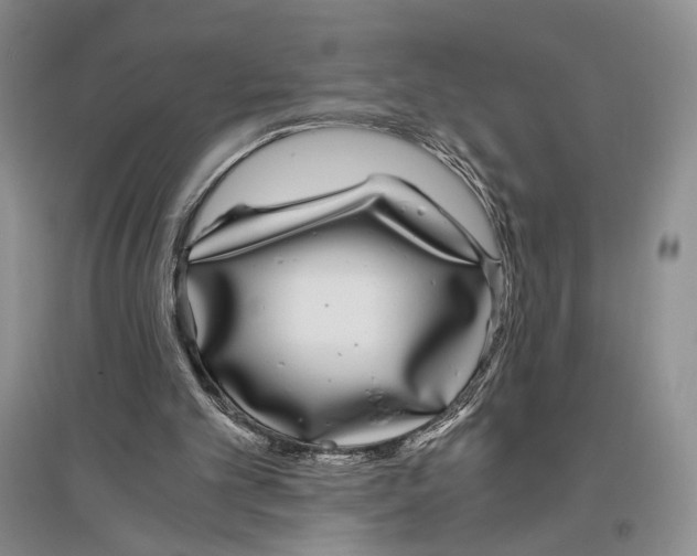 X0000096420101200802211133