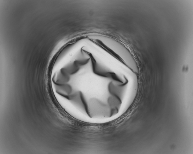 X0000096420102200802211133