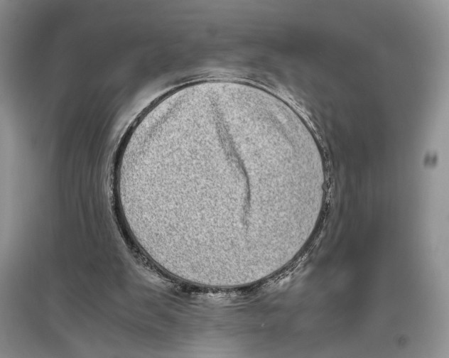 X0000096420103200802211133