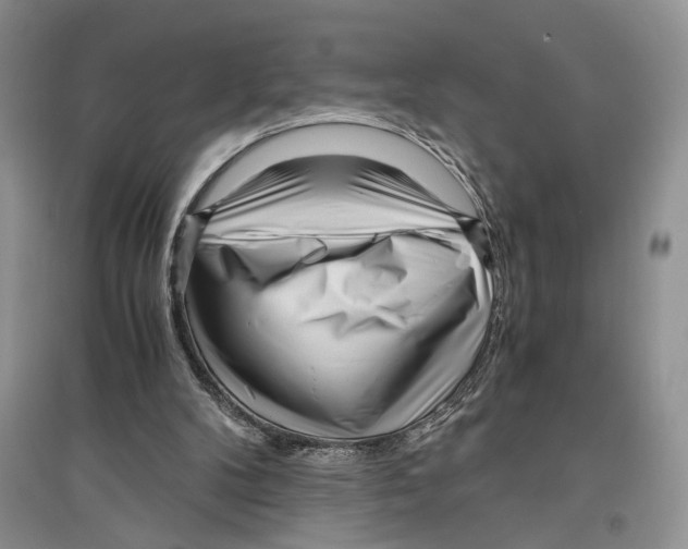 X0000096420104200802211133