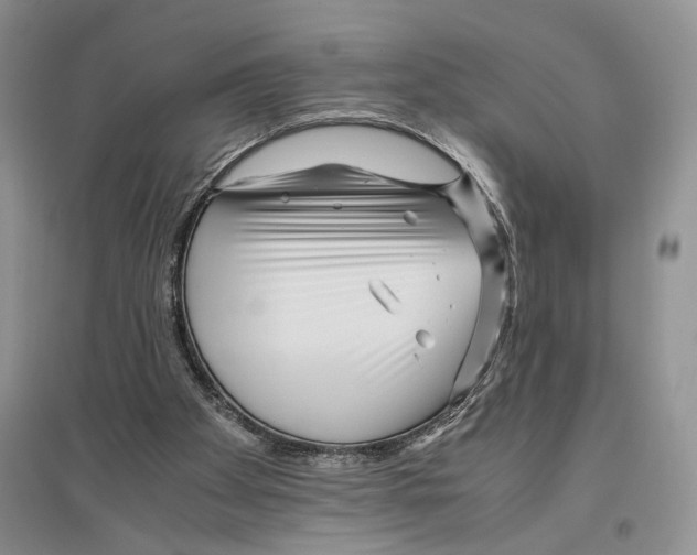 X0000096420105200802211133