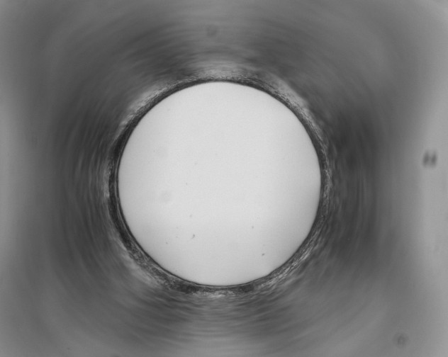 X0000096420106200802211132