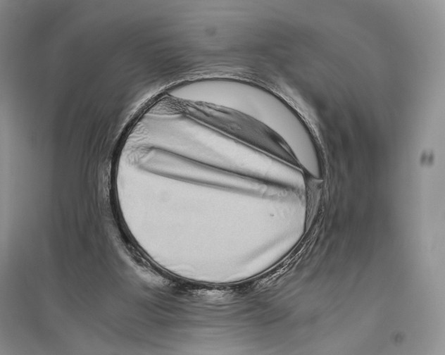 X0000096420107200802211132