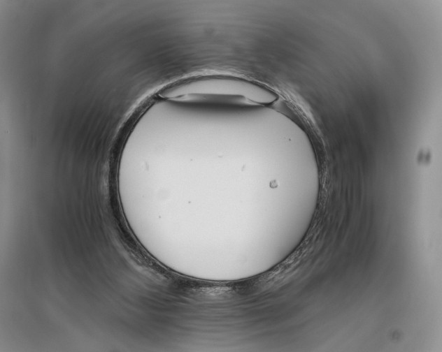 X0000096420108200802211132