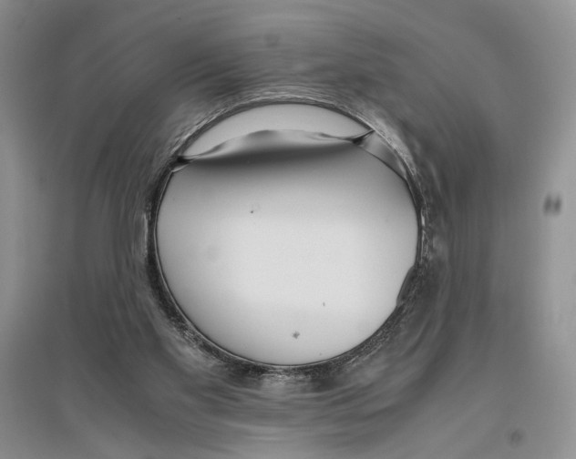 X0000096420109200802211132