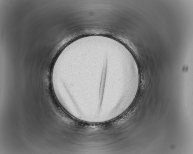X0000096420111200802211132