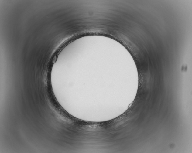 X0000096420112200802211132
