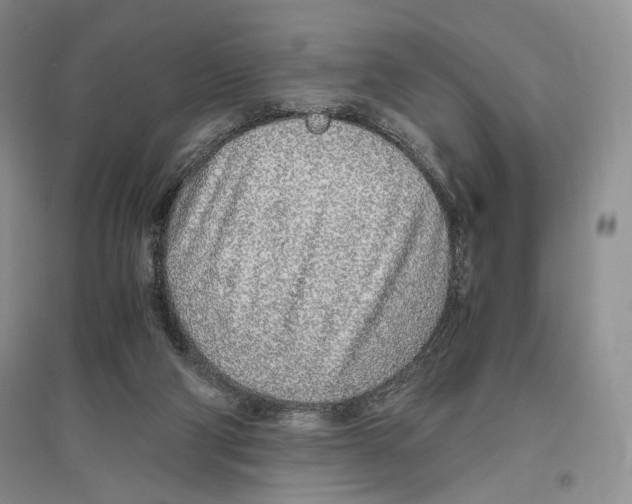 X0000096420114200802211132