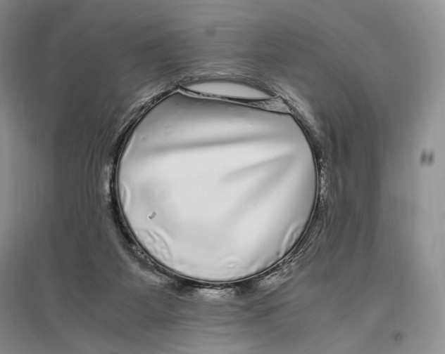 X0000096420115200802211132