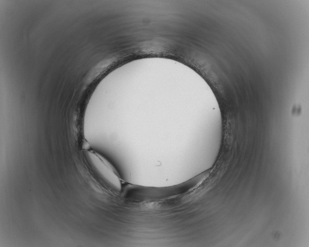 X0000096420116200802211132