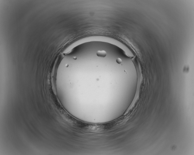 X0000096420117200802211132