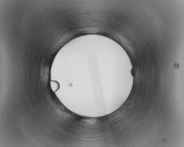 X0000096420118200802211132