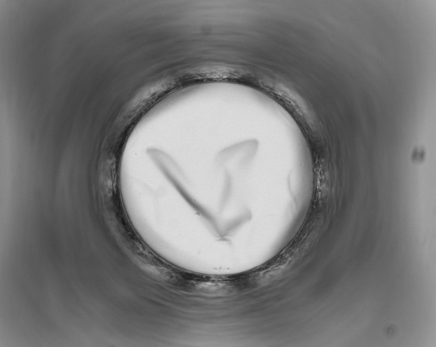 X0000096420119200802211132