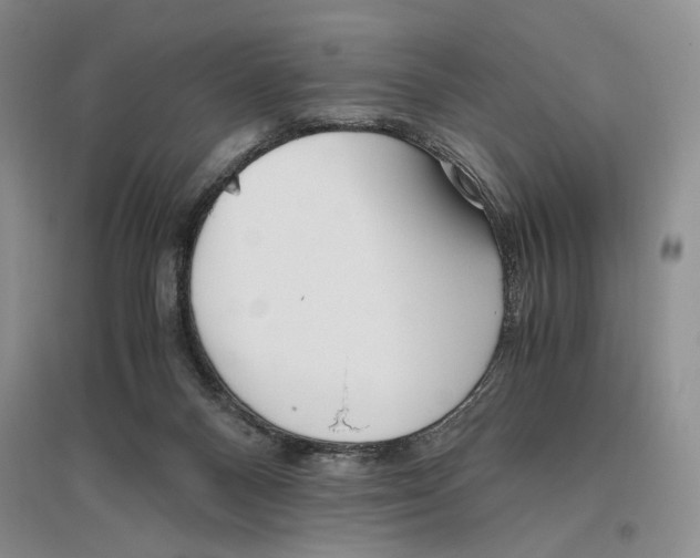X0000096420120200802211132