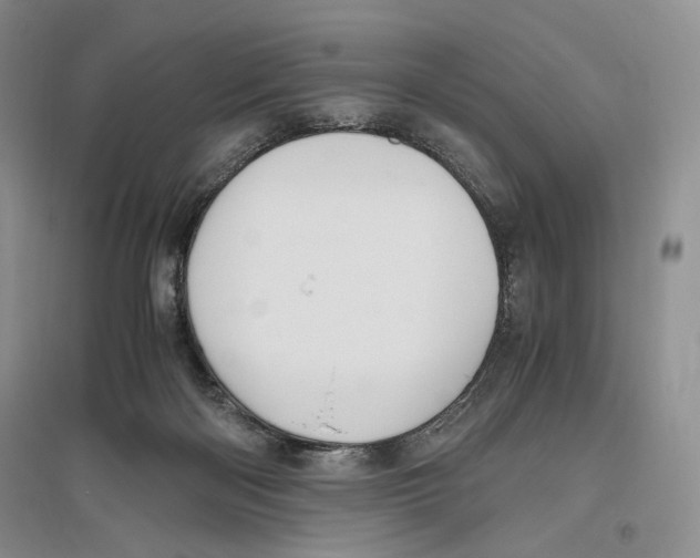 X0000096420122200802211132