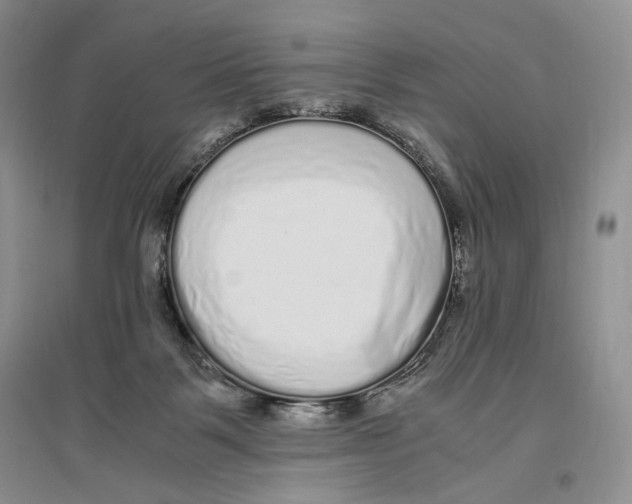 X0000096420123200802211132