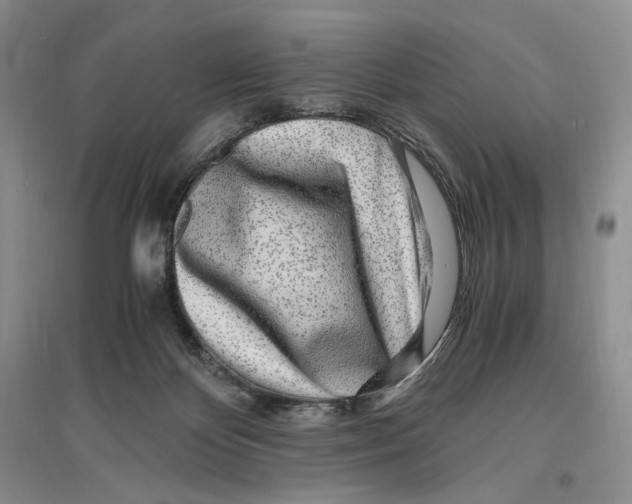 X0000096420124200802211132