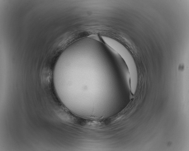 X0000096420125200802211132