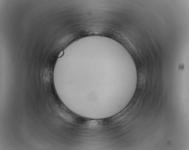 X0000096420126200802211132