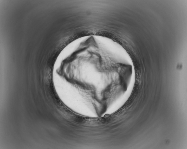X0000096420127200802211132