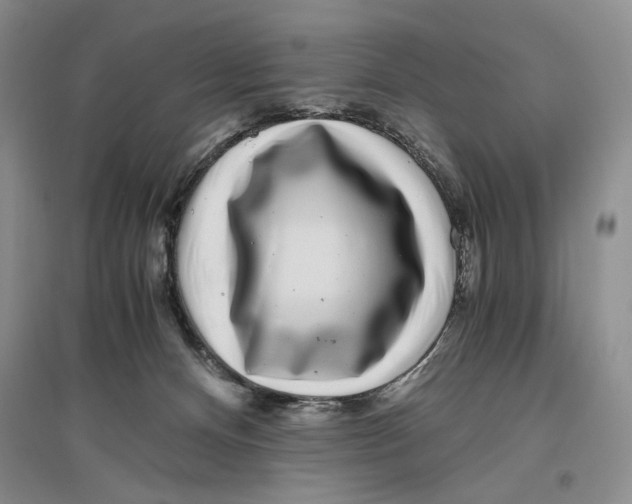 X0000096420128200802211132