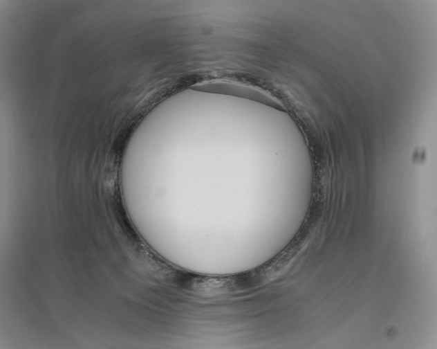 X0000096420129200802211132