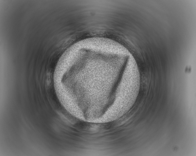 X0000096420130200802211132