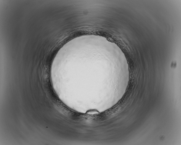X0000096420131200802211132