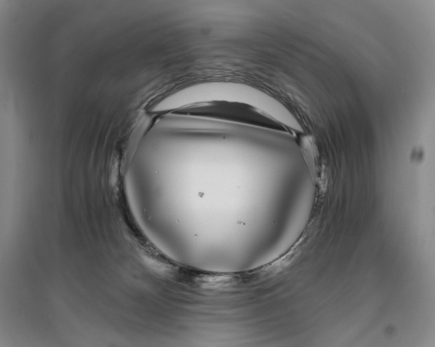 X0000096420132200802211132