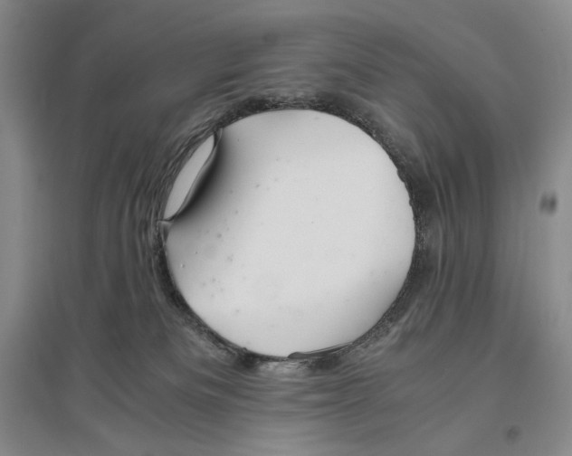 X0000096420133200802211132