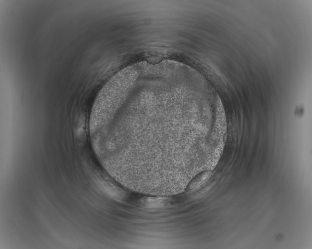 X0000096420134200802211132