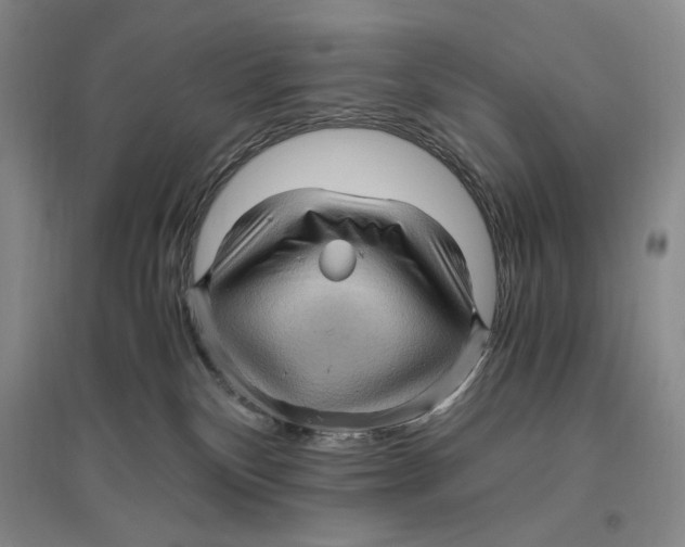 X0000096420136200802211132