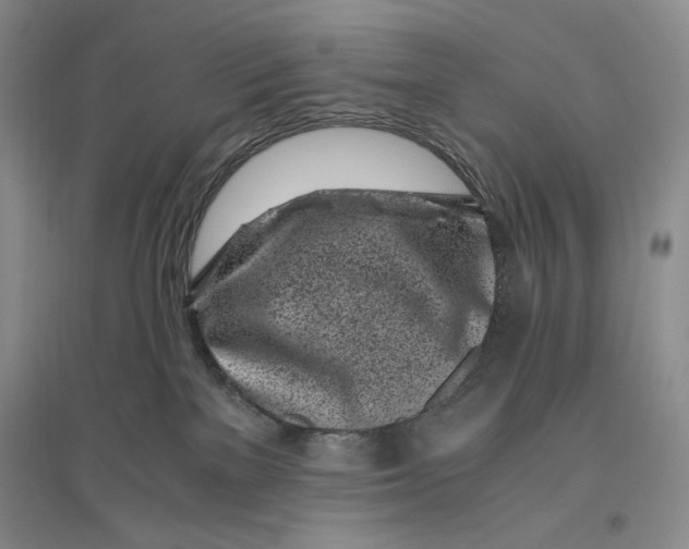 X0000096420137200802211132
