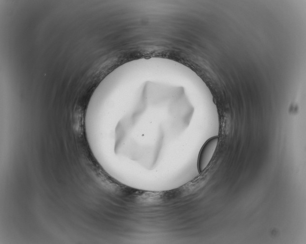 X0000096420138200802211132
